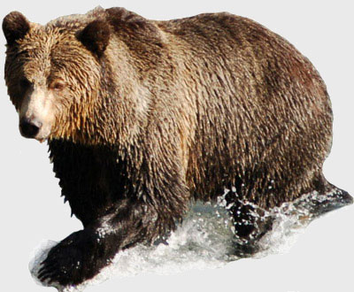 Shorting A Stock In Bear Market