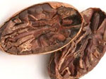 Cocoa Bulk Bean